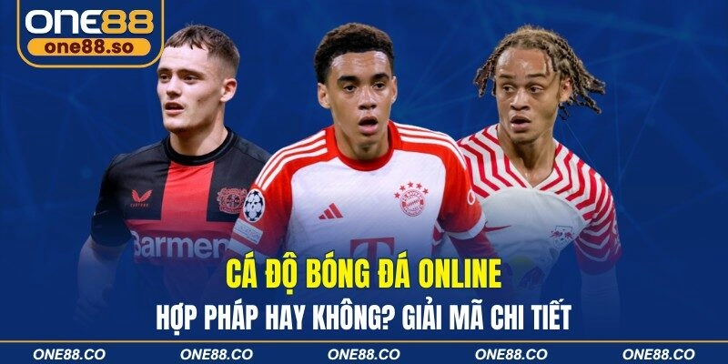 Cá Độ Bóng Đá Online - Hợp Pháp Hay Không? Giải Mã Chi Tiết
